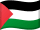 Palestine Flag